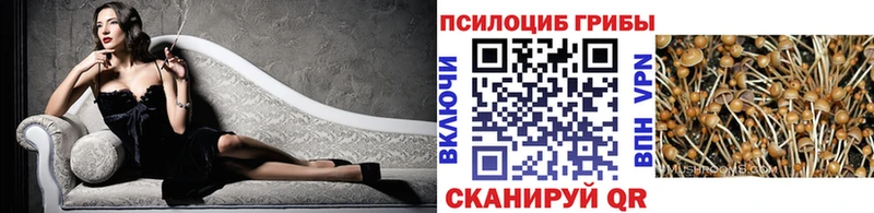 Галлюциногенные грибы мухоморы  Купить где  Алапаевск